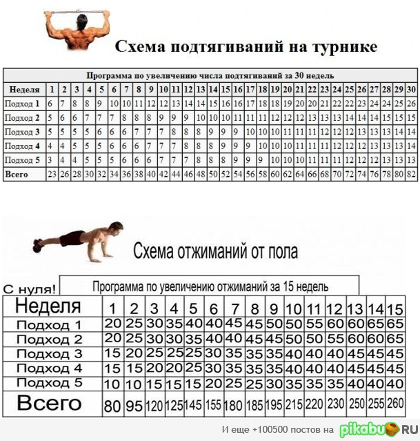 Программа По Увеличению Подтягиваний И Отжиманий | Пикабу