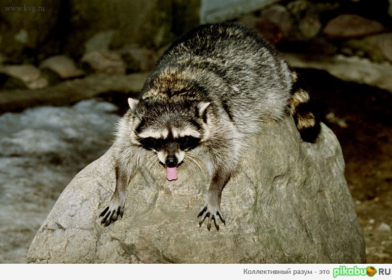 Утро понедельника или вечер пятницы?