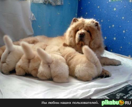 Завтрак)