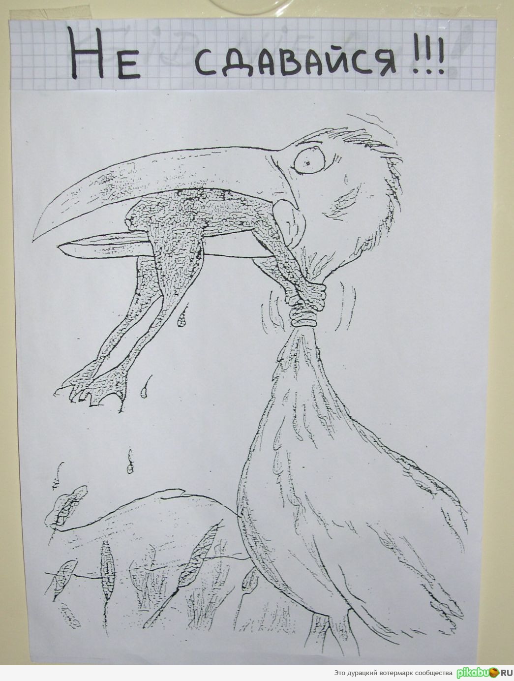 Пару лет висело на входной двери...