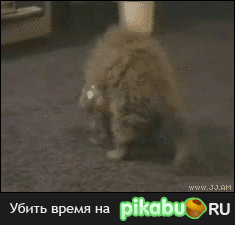 150 ��. ����