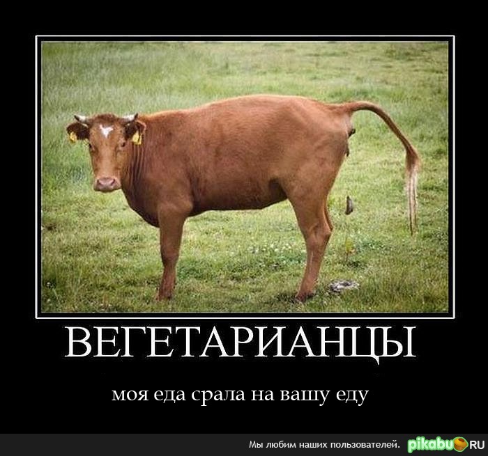 ...и опять пламенный привет вегетарианцам ;)
