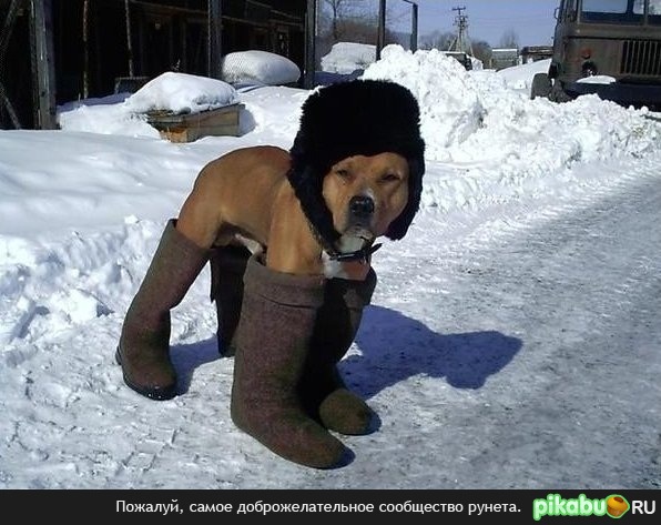 �***�� �� ����� �����!!!