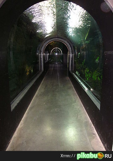 Корридор-Аквариум или Квартирный вопрос в 2020 году