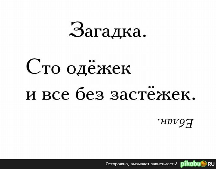 Загадка | Пикабу