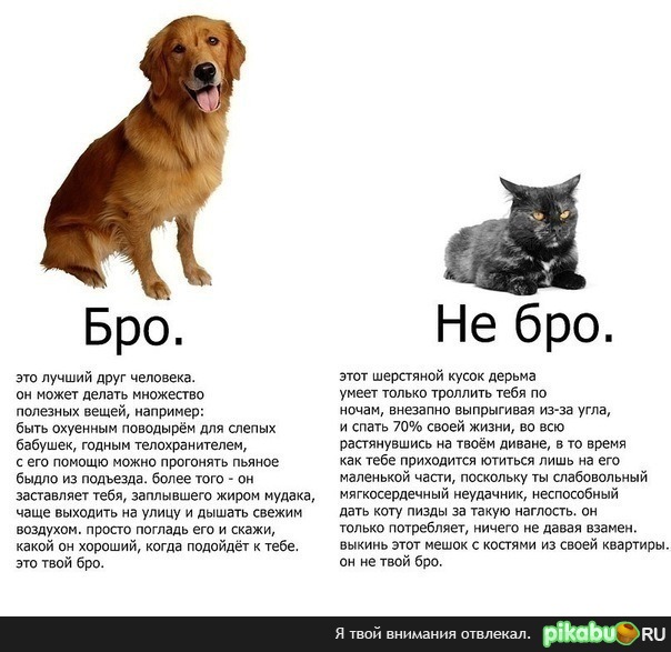 � ������� ����� �������