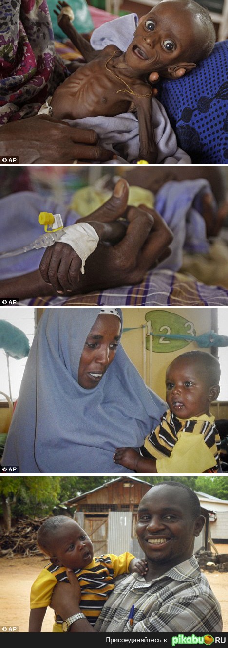 Фотография, которая обошла весь Интернет.