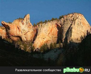 Sleeping Cat ^^ Fake or Not?