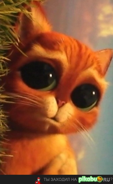 Покажи сиськи..