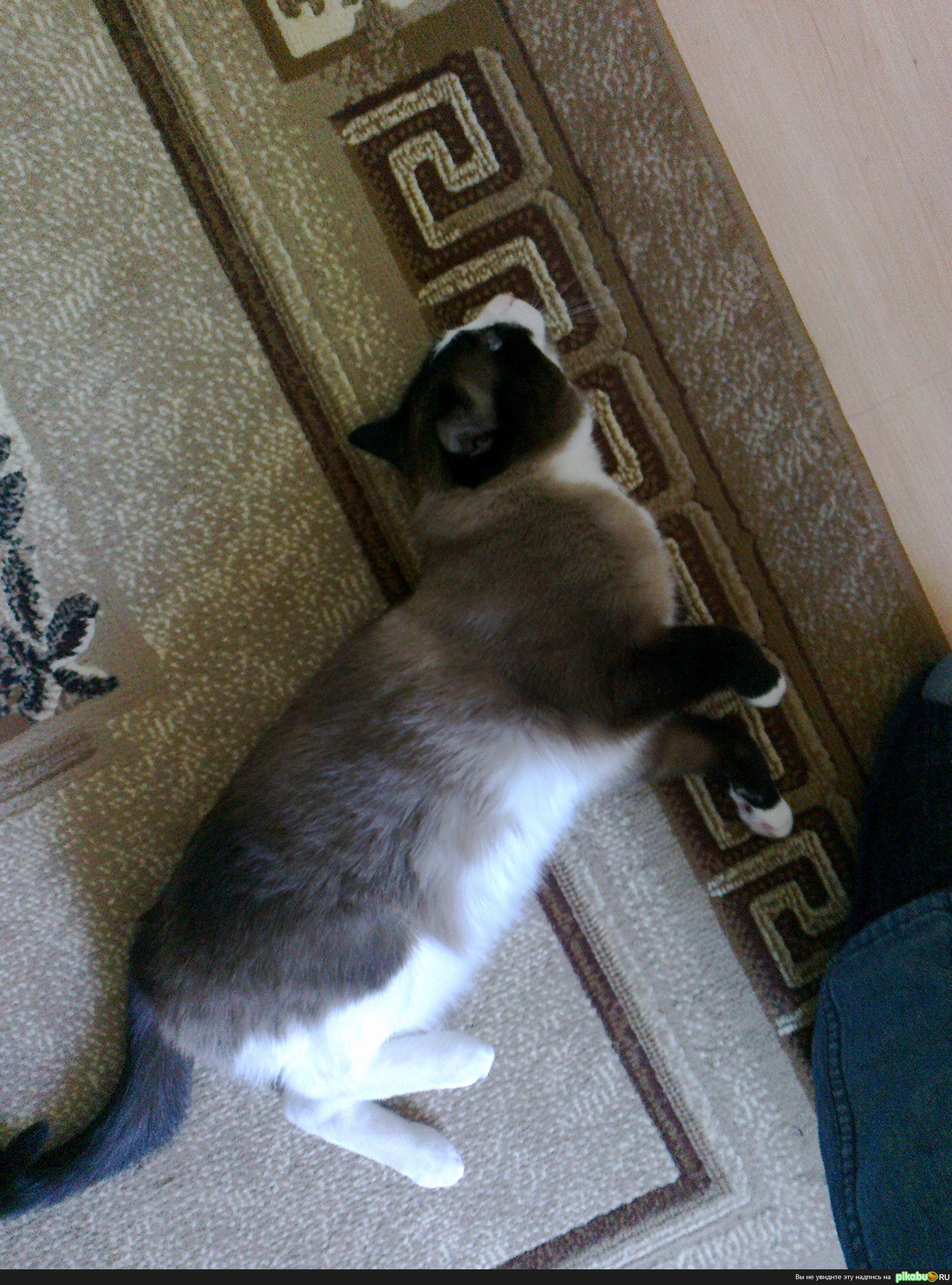 ��� ���� ����� �����!!!!