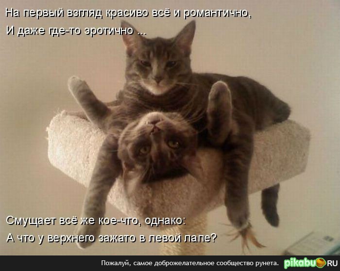 � ��� ��� ������ 5 ����� �����?