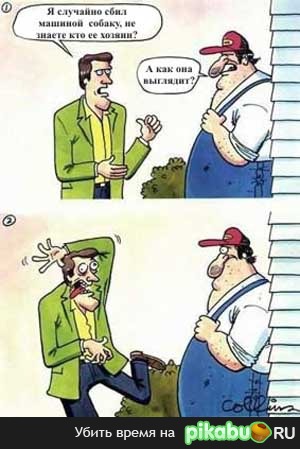   ( 