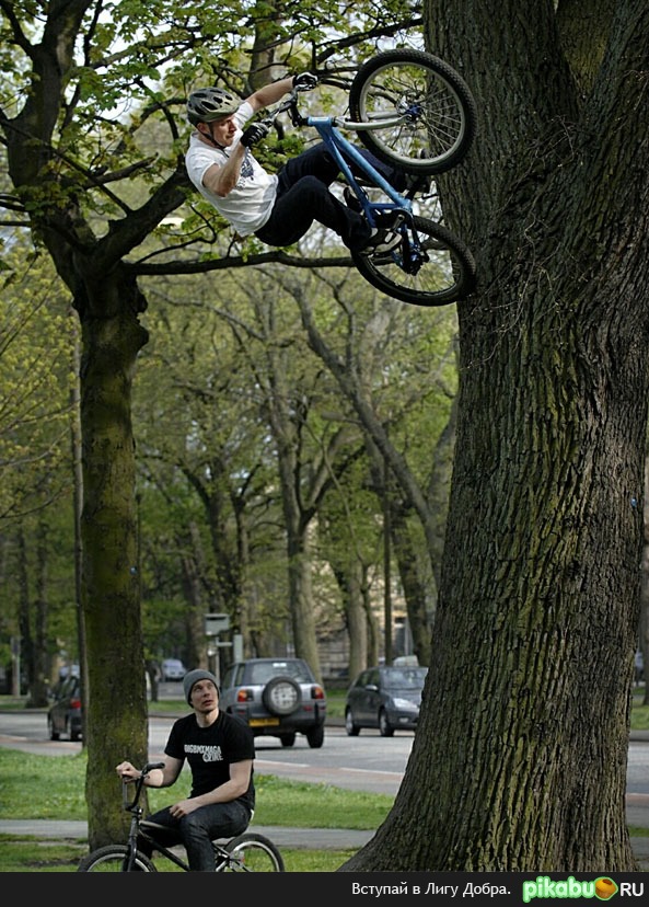 �� ������? �� ��� �������!