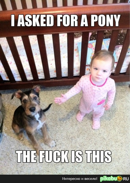 � ������� ����...