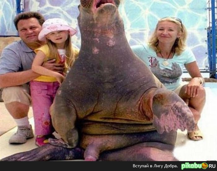 Семейное фото
(с)инет