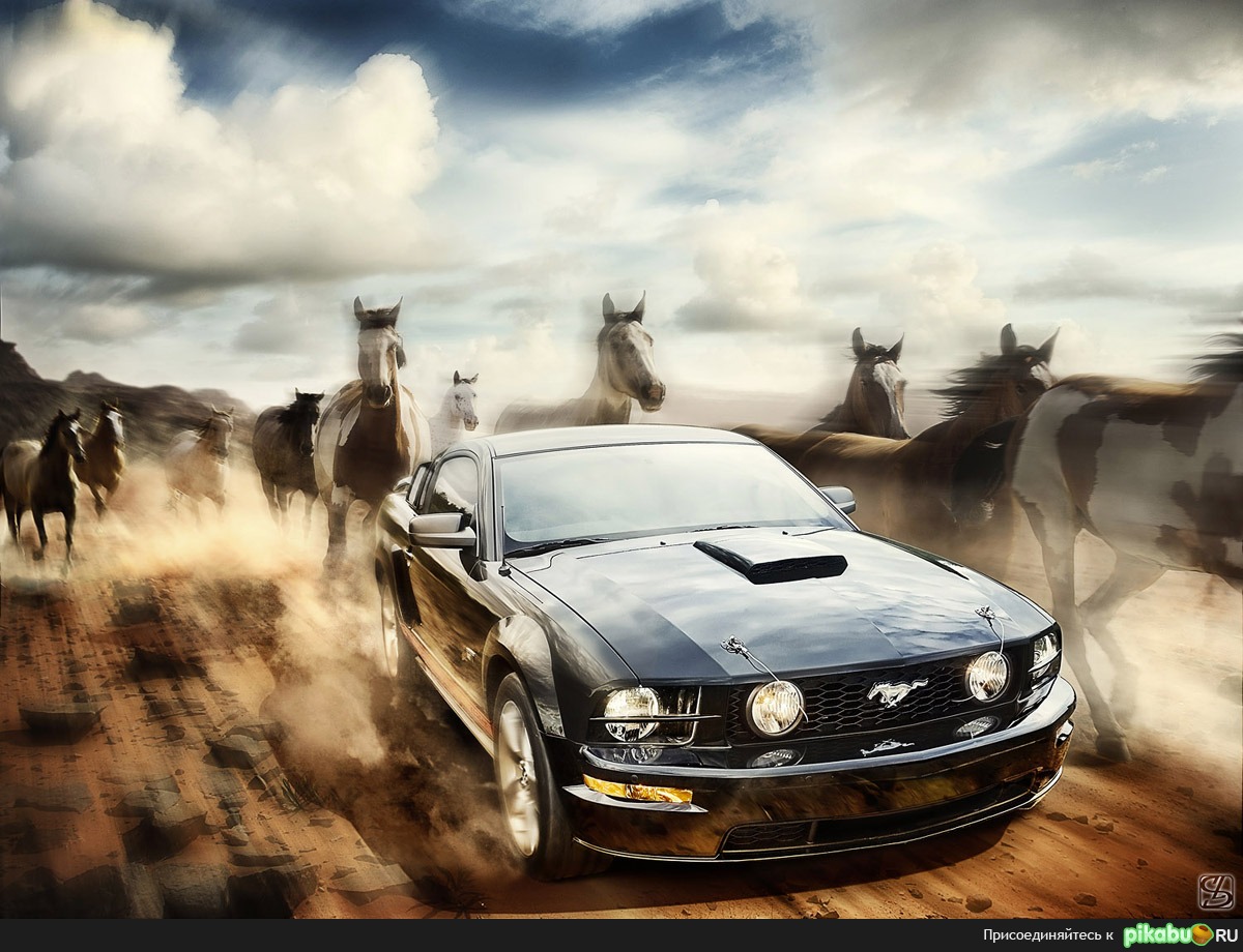 Mustang