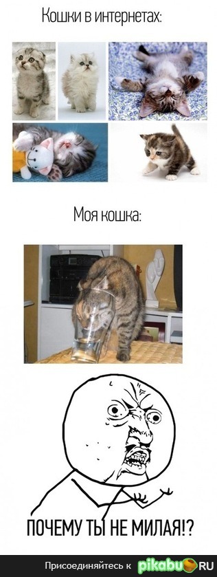 В интернете лучше...