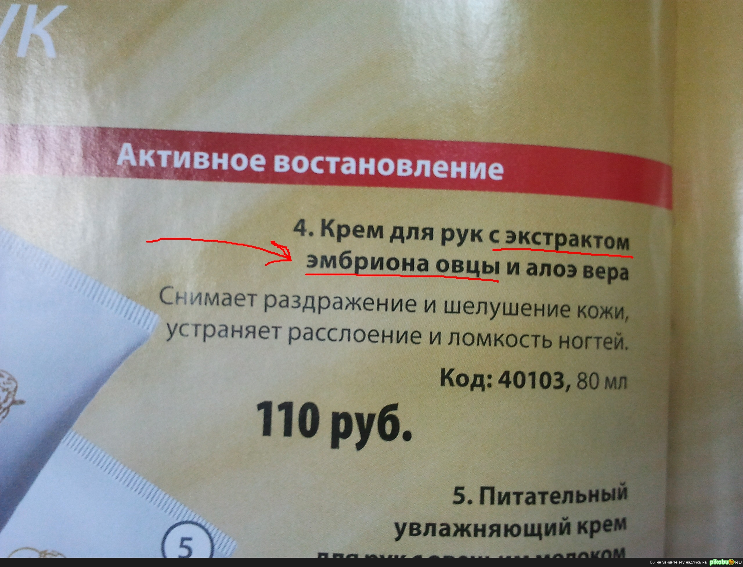 ��� ��� ����� ������ �����?)