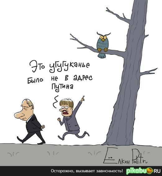 На злобу дня.