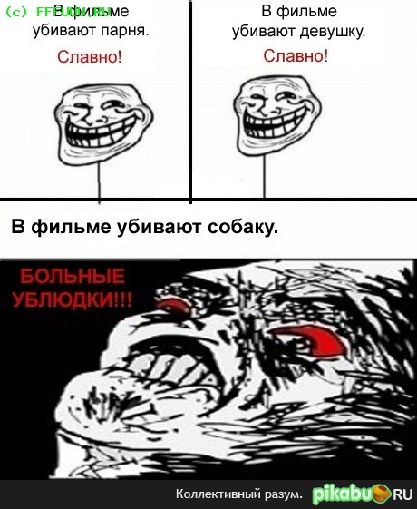 ���� ����� ����