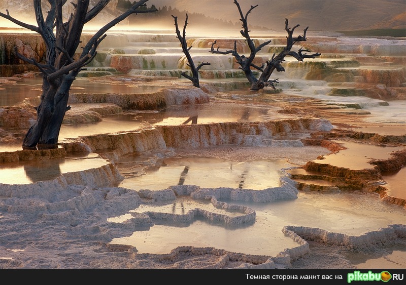 Где-то на планете Земля...