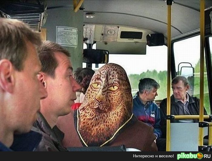  ,        (    ).    !