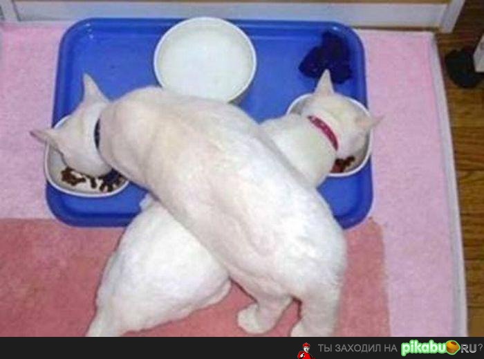     !) 