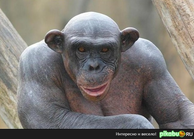 � �� ����� ���� ��� ��������� � �� ���� �� �����