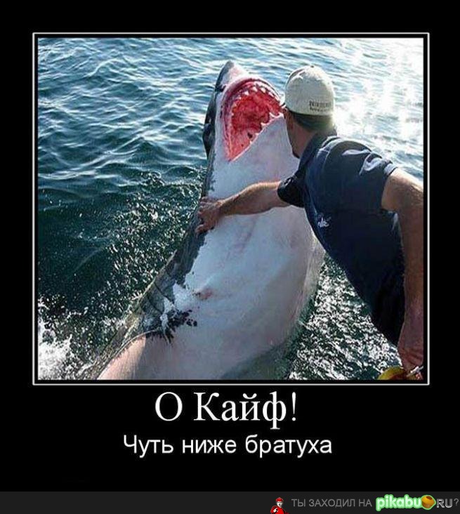   !)       )
