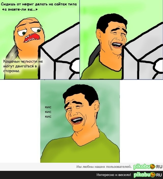 Кис-кис-кис