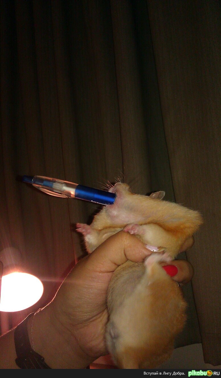 ������� �� ����� ������������ :)