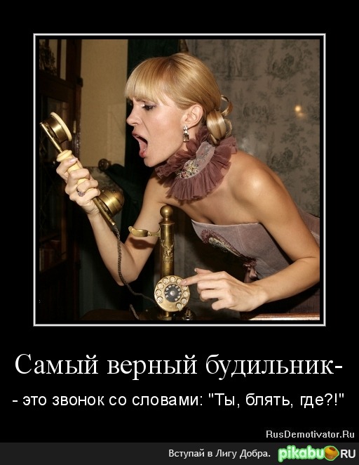 100% ���������.