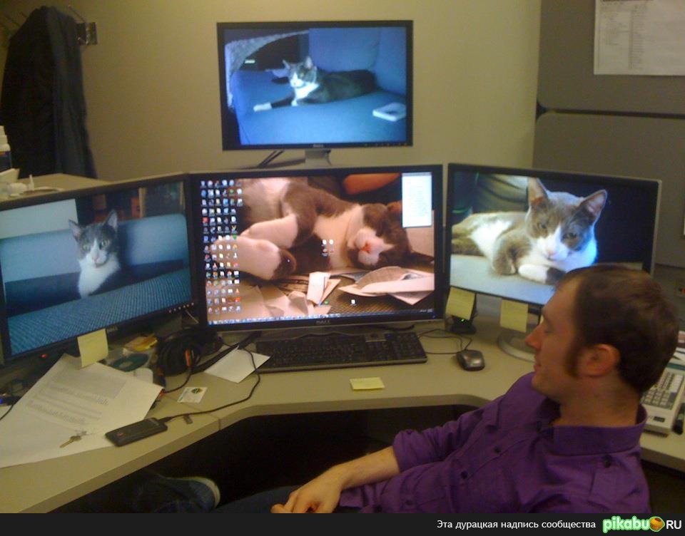 ���������� ��������-������������)