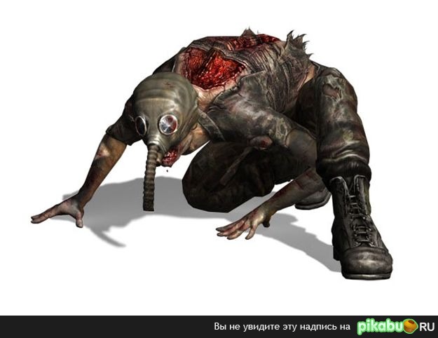 ������ ������ ���������