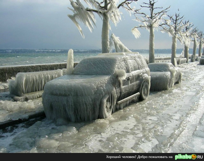 ������ �����