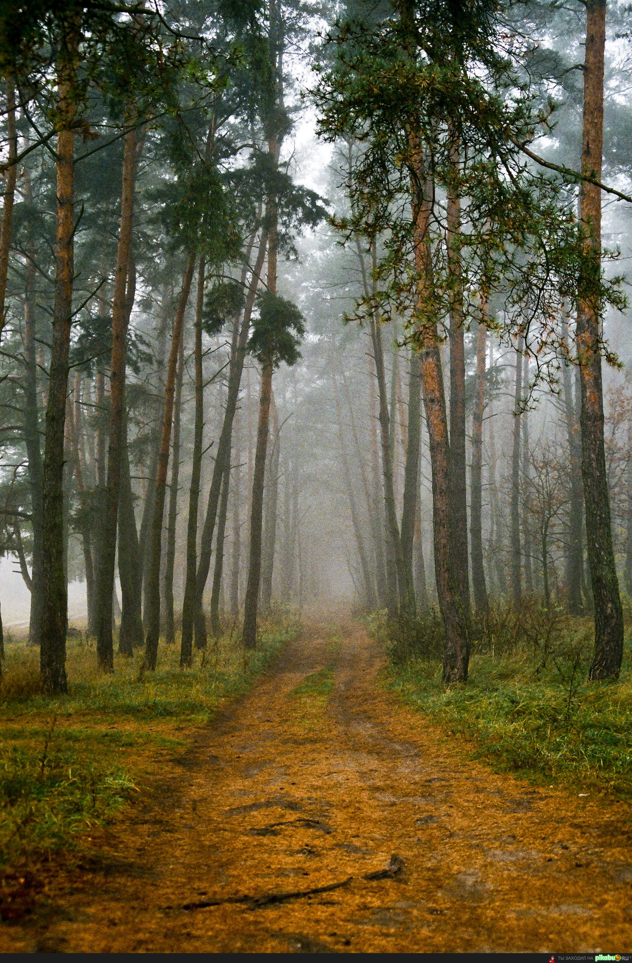 ��� � ������ �����