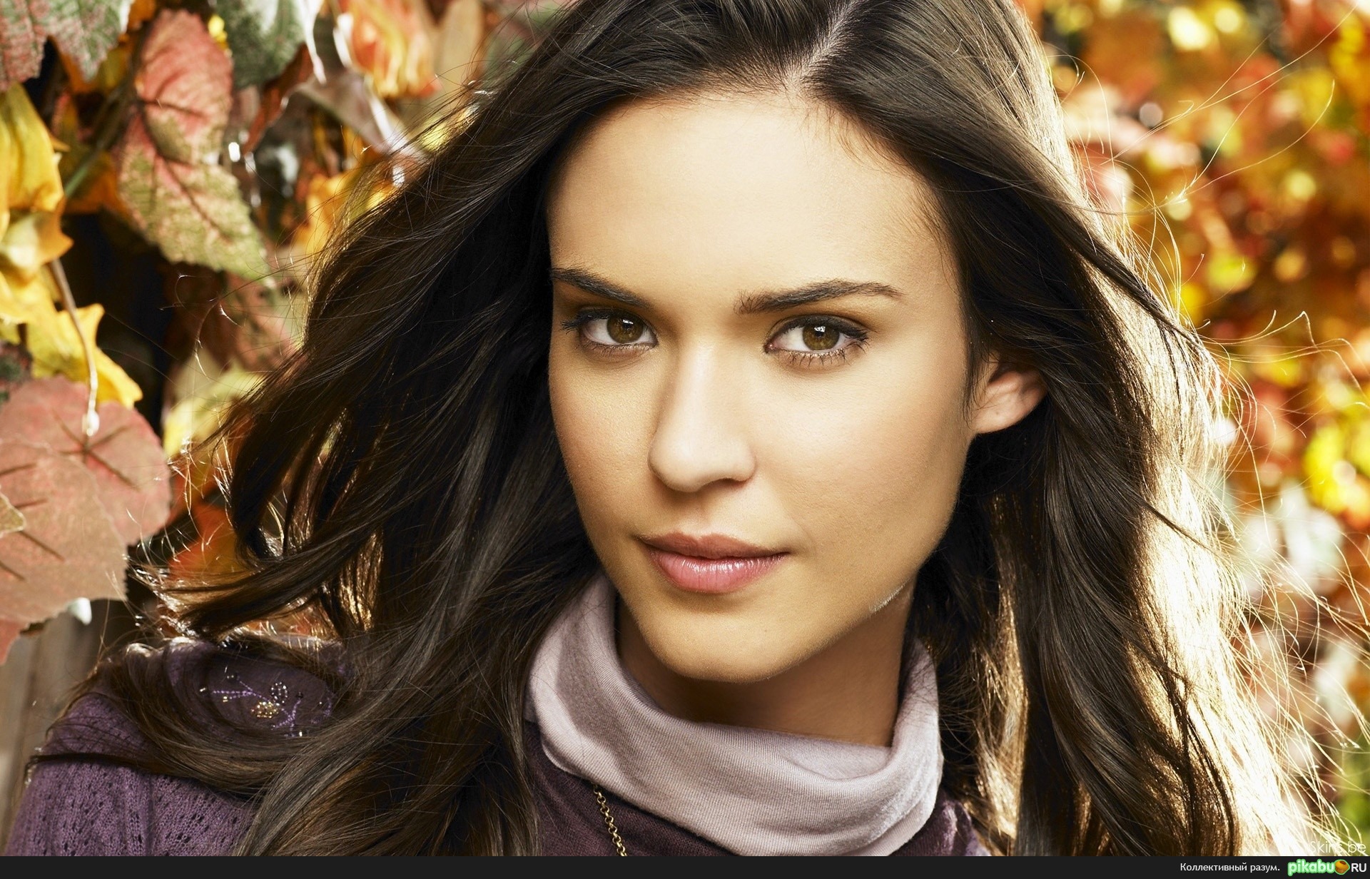     .   Odette Annable.        " ".