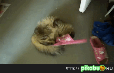 ����� �������)