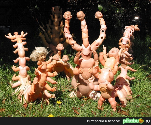 ���������� �� ����