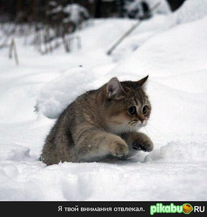 По глазам видно, что холодно!