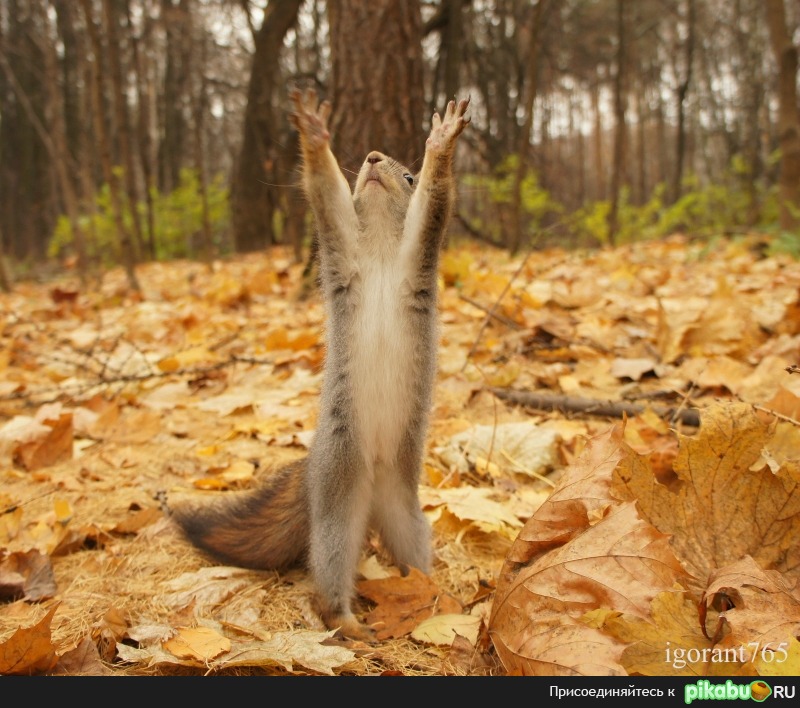 �������, ��� �� ��?!