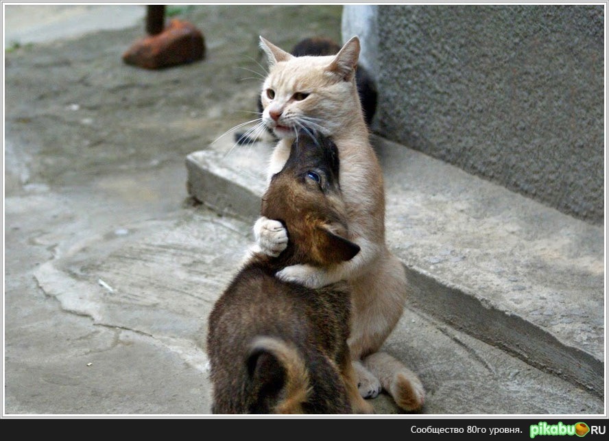 �� ���, ���... � ���� ����...������ ������� ������...