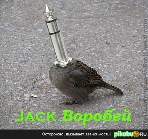 Jack Воробей