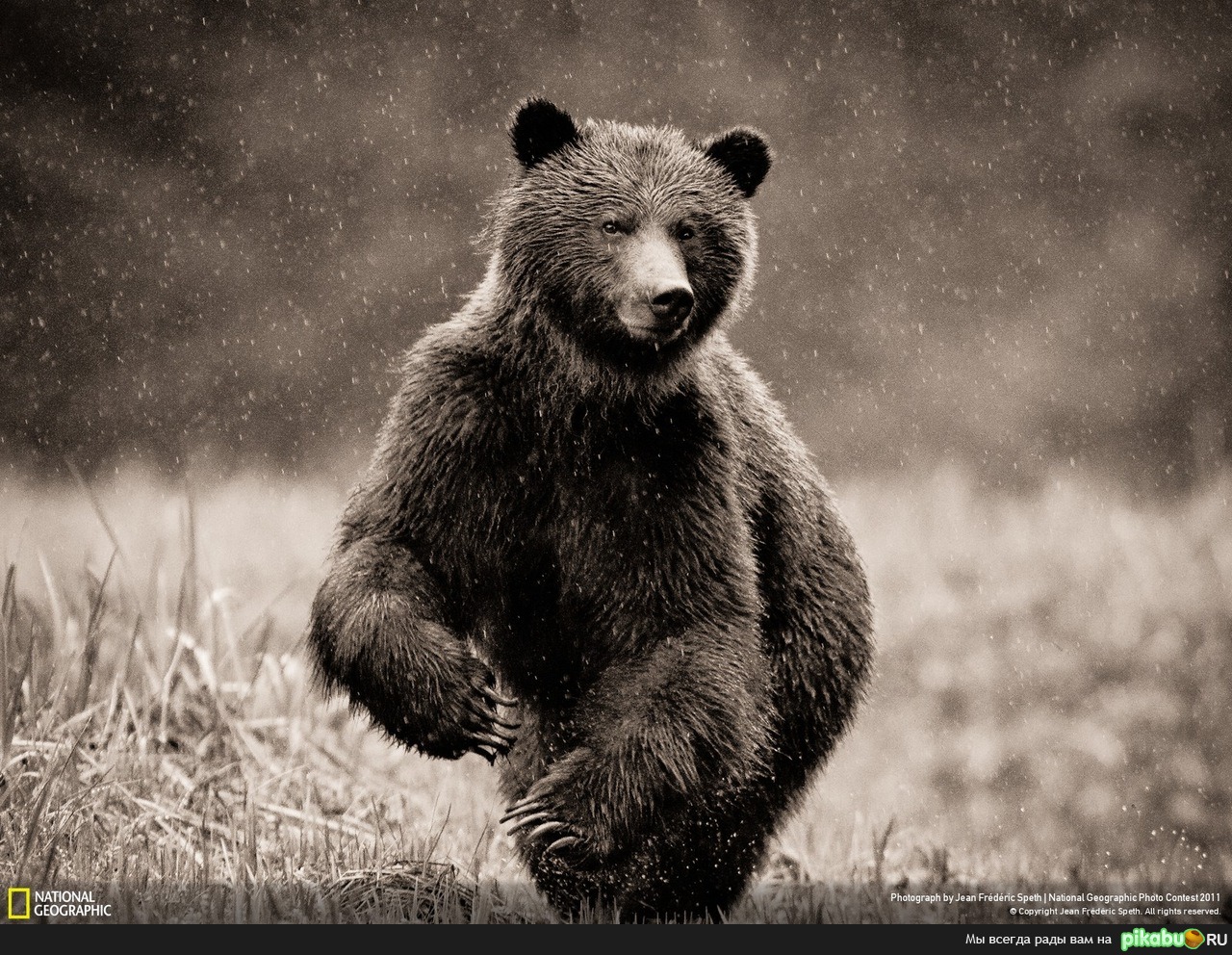 Я иду к вам!