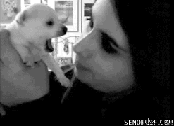 Сожрет или нет?