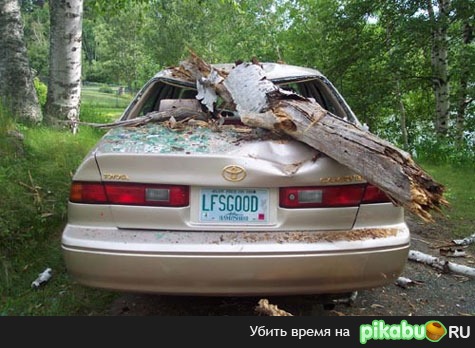   LFNOGOOD) 