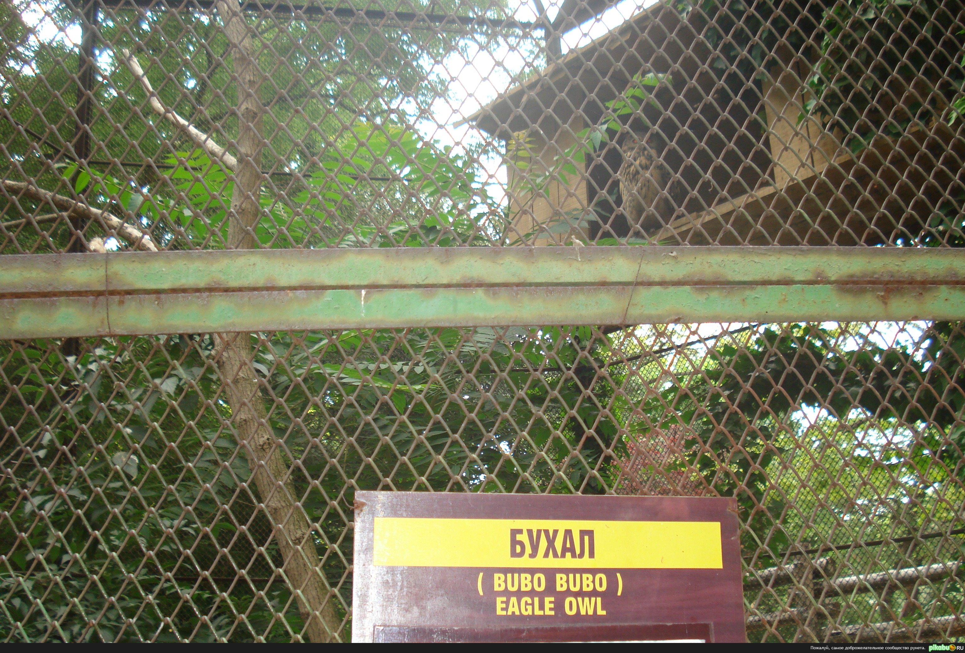 кто бухал?))