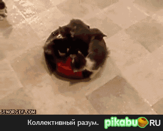 Царь горы 101211 1717 Пикабу 