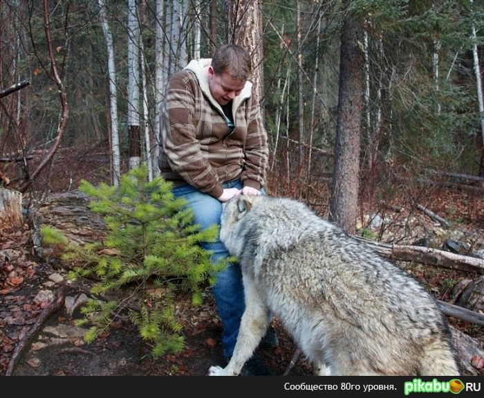 ������-�� � ��� ��� ����������...