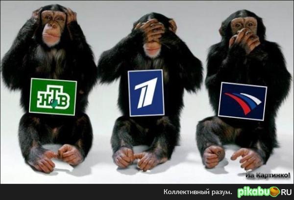 Наше телевидение